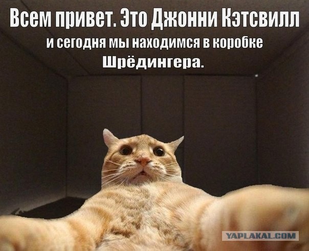 Визуализируем свои ники!