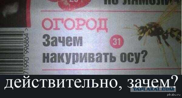 Минутка наркомании на ЯПе