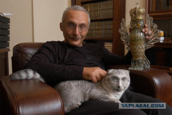 Что? Где? Когда?