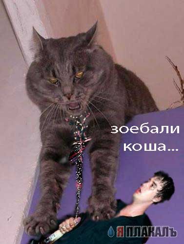 Фотожаба: В клубе открыл пиво