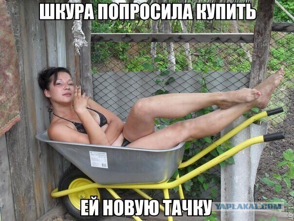 Подборка картинок из сети