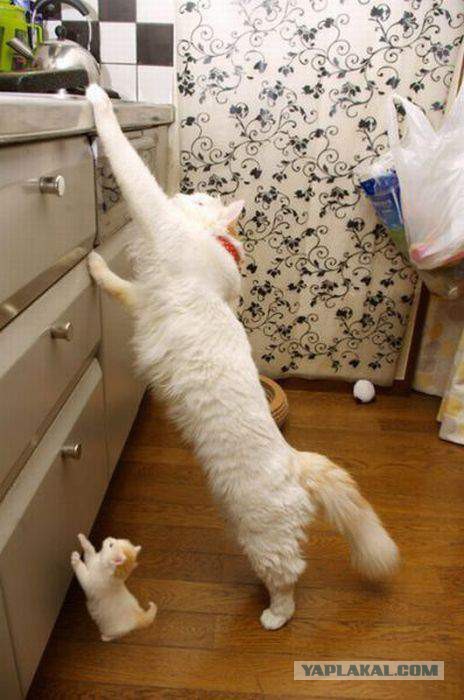 Подборка картинок