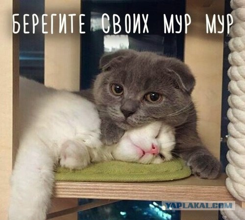 Славянская Душа