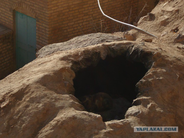 Путешествие по Ирану