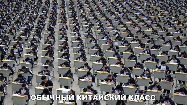 Случайные картинки