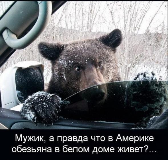 Подборка интересных и веселых картинок