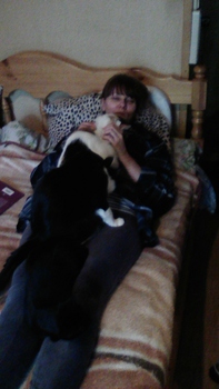 Жизнь домашнего приюта для котеек 112