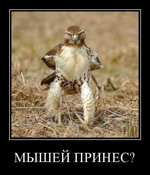 Для Поднятия Настроения - 8