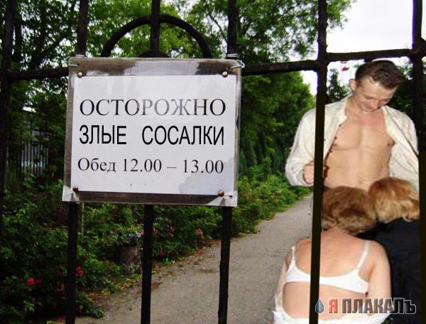 Осторожно, злая собака