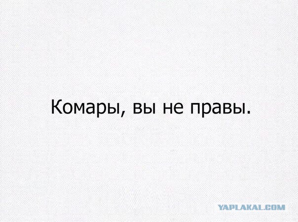 Смешные комментарии из социальных сетей 24.06.2016