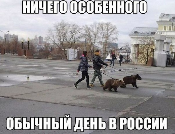 Подборка картинок