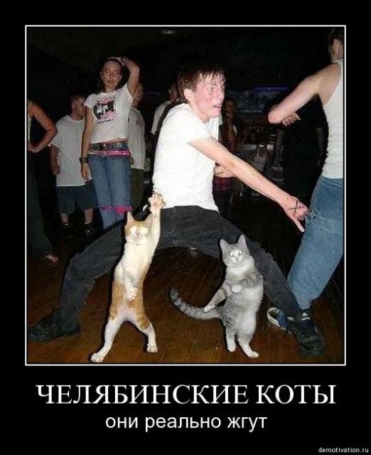 Поляна идиотизма, адового трэша и наркоты