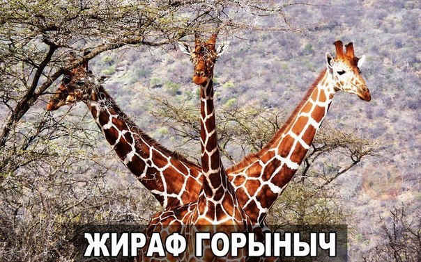 Всякие разные картинки