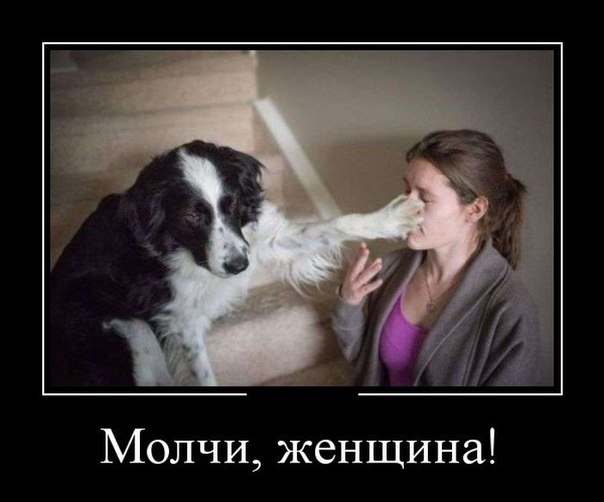 29 картинок