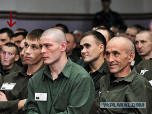 Синий кит уплыл, но обещал вернуться через 3 года