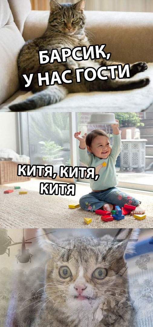 Нестандартный юмор
