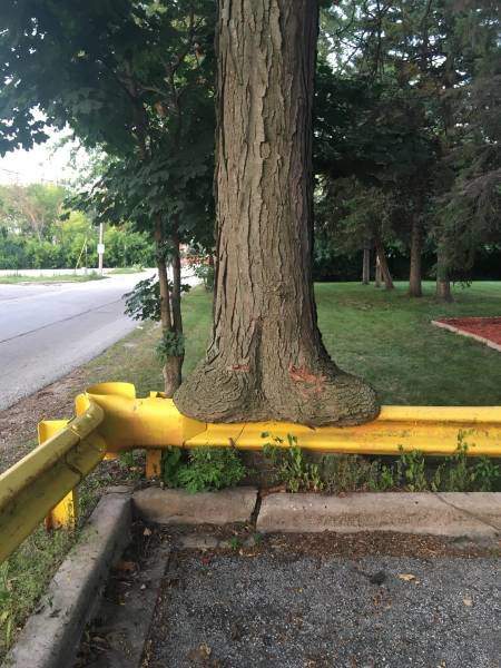 Калейдоскоп Картинок