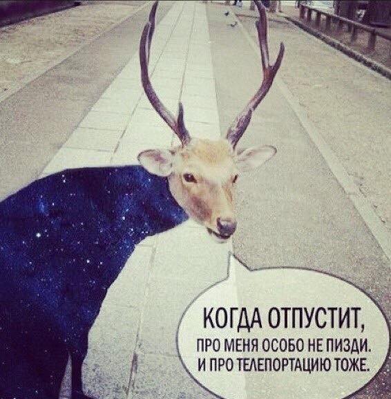 17 фотографий, после которых вы забудете, что когда-то верили своим глазам
