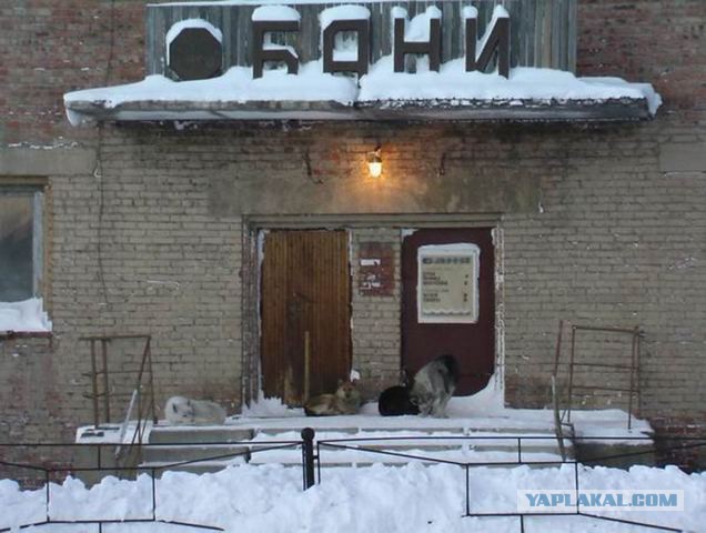 Колымские деликатесы