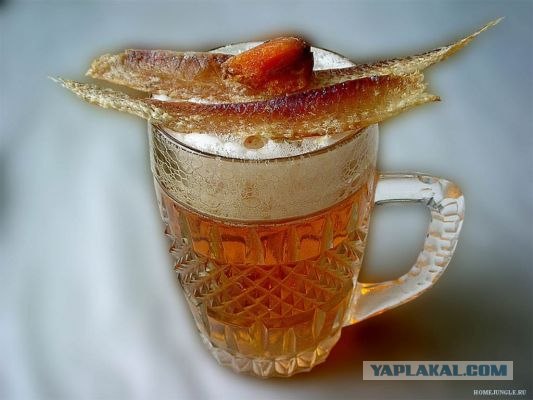 Субботница, много фото!