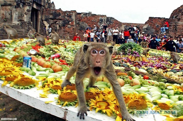 Стыдно стоять в стороне