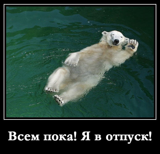 Как вы относитесь к новому мужчине?