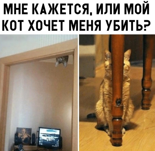 Чуток картинок!