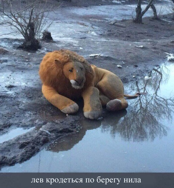 Бредзона 26.12.2019