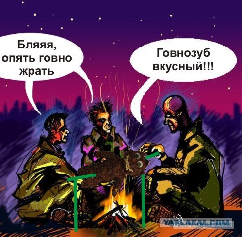 Беседа - добавим фразу!