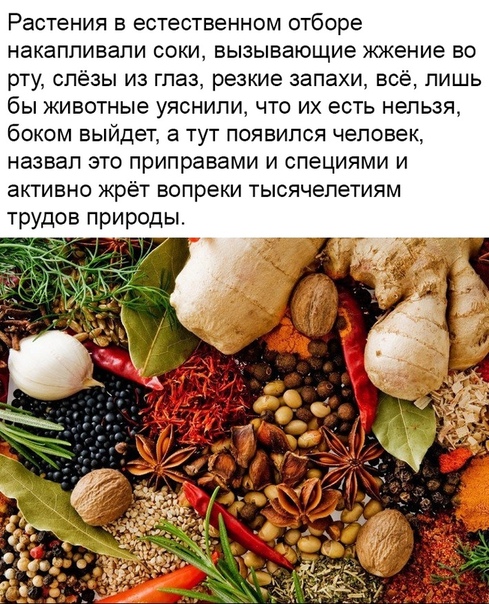 Кухень по бистрому, что бы жина любиль и друзь уважаль