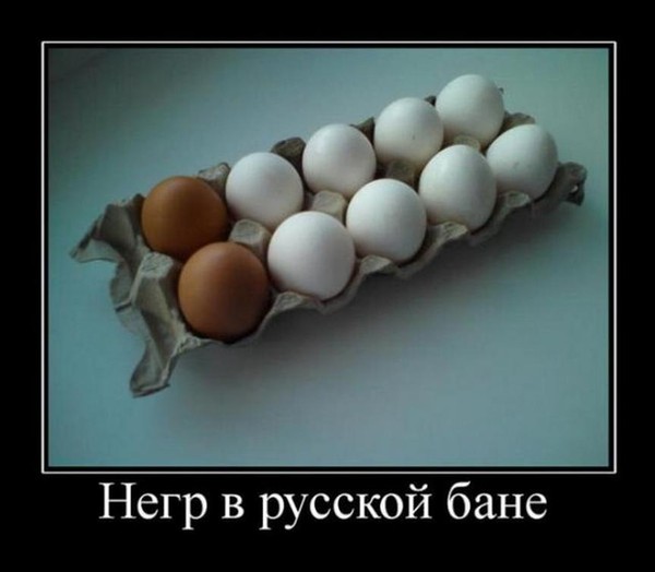 Эй, уважаемый, ну а где же яйца? Терпение, спокойствие, сейчас они появятся