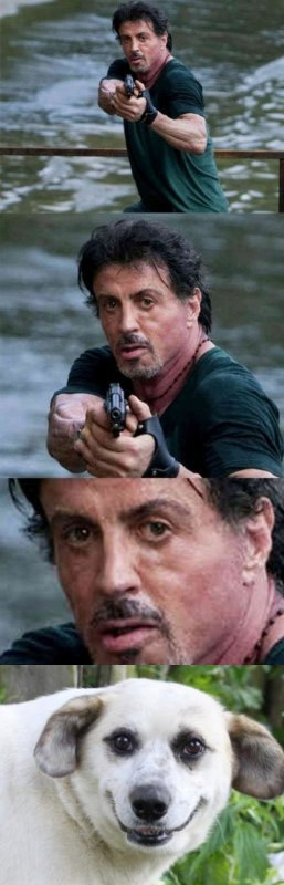 Фотожаба: Куда так торопится Слай?