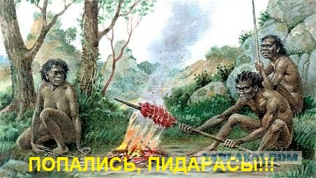 МЧС с 1 мая начинает массовые рейды по дачным поселкам и паркам - будут штрафовать за шашлыки