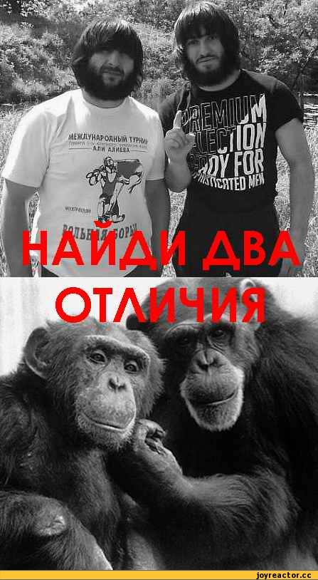 Живу в Крыму