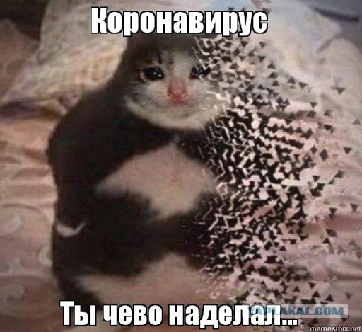 Сингапур представил кардинально новую стратегию борьбы с COVID-19