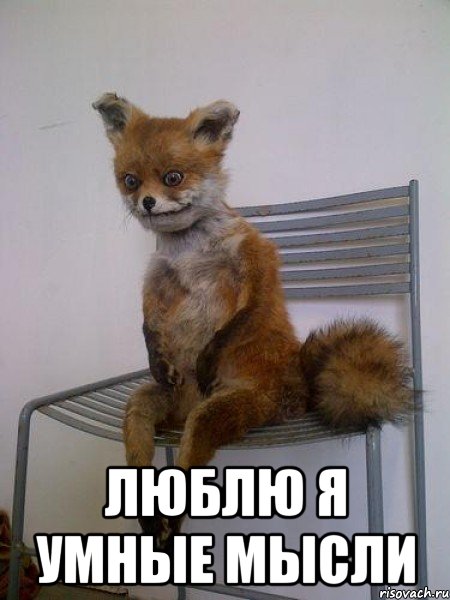 Пост деградации. Мой любимый пост. Категории Б