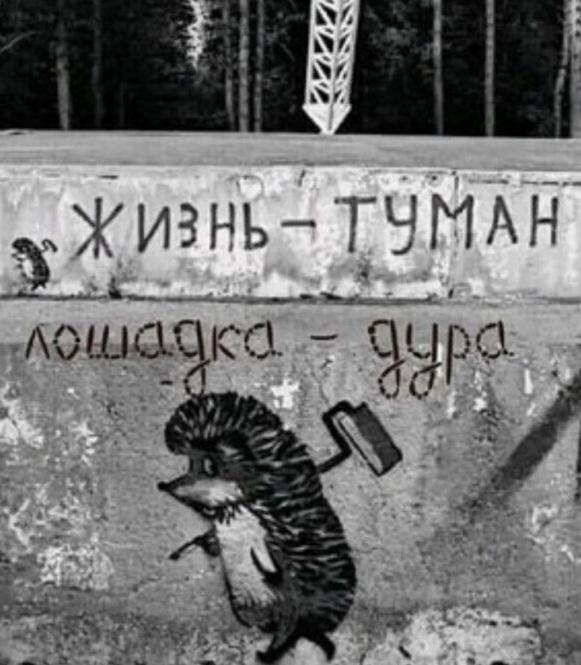 Так себе картинки 25.10.21