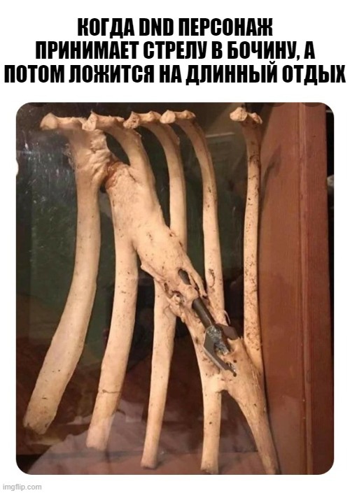 Картинки 07.11.21