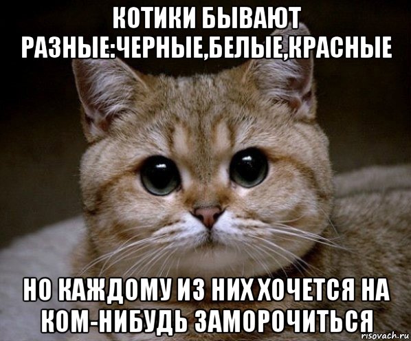 Пандемия. Коронавирус. Россия и мир. Часть 29