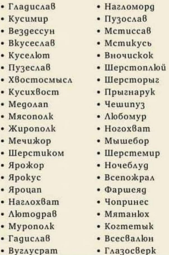 Помогите выбрать имя