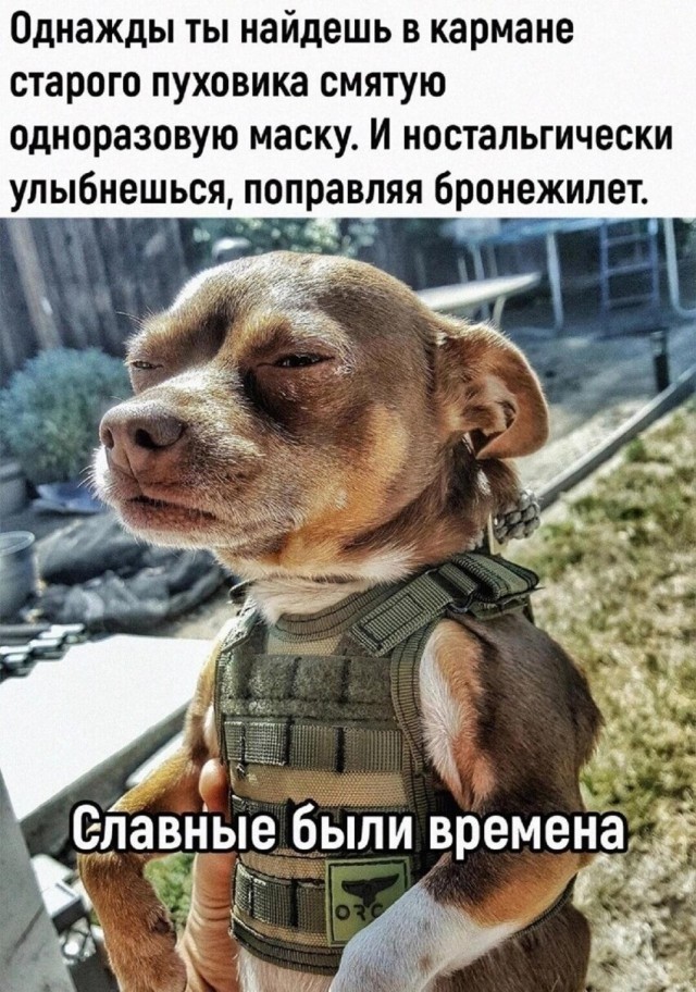 ФСБ РФ опубликовала видео с подозреваемой в убийстве Дарьи Дугиной