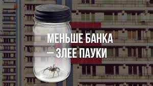 Уральское движение трезвенников обратилось к Медведеву