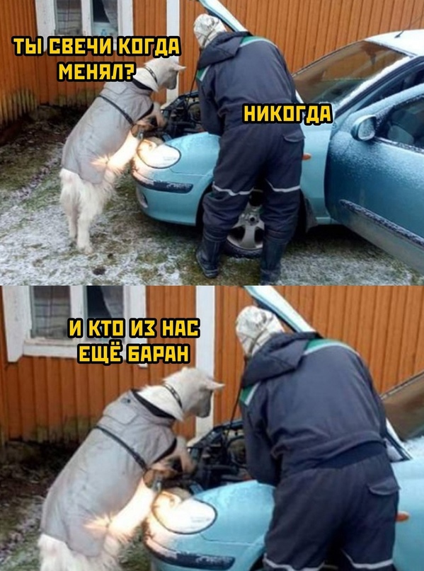 Картинки и мемы для настроения - 137