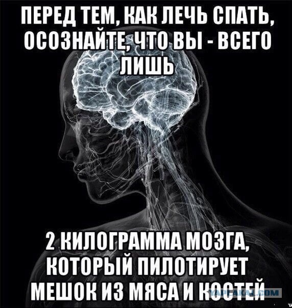 Отмена деградации ІV. Околонаучные картинки