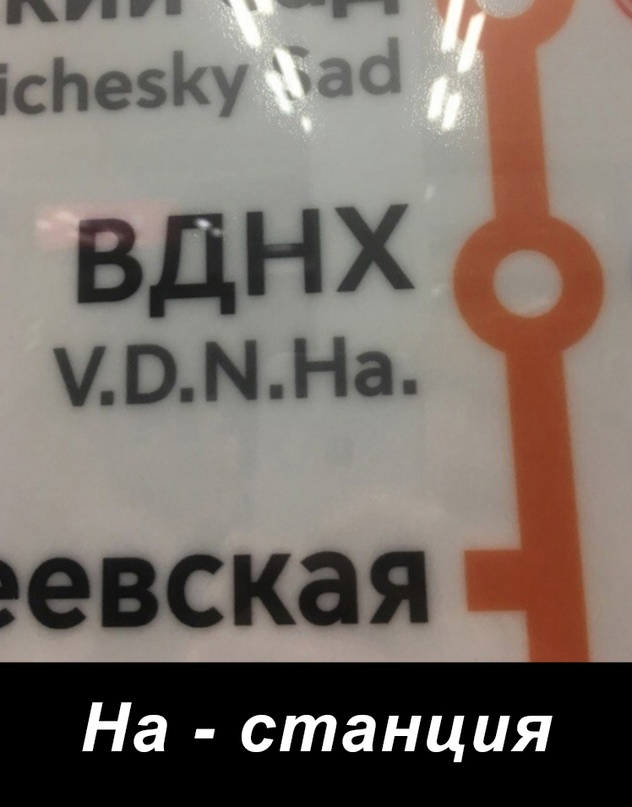 Весёлый полтишок 03.09.23