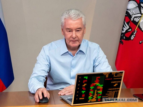 Карманный Собянин⁠⁠