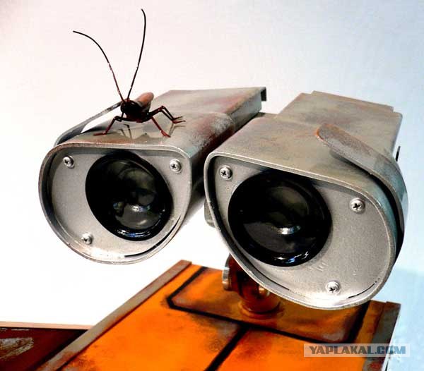 Wall-e в домашних условиях)))