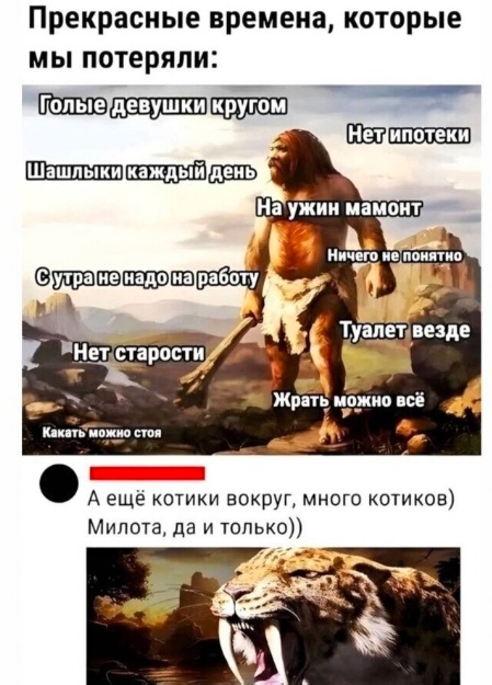 Так себе картинки 04.06.24