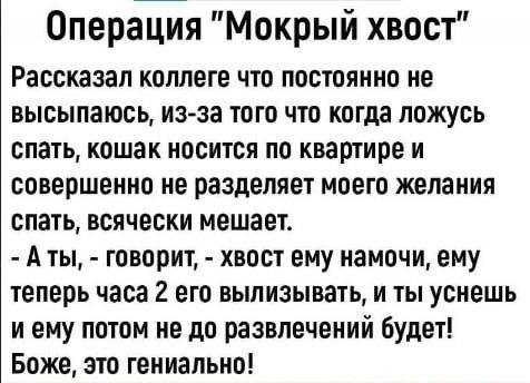 Никакие картинки и тексты