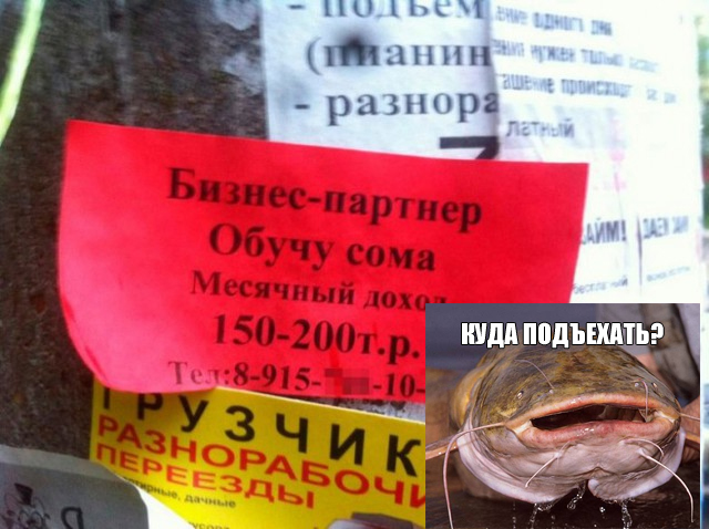 Нуштош 29.07.2024